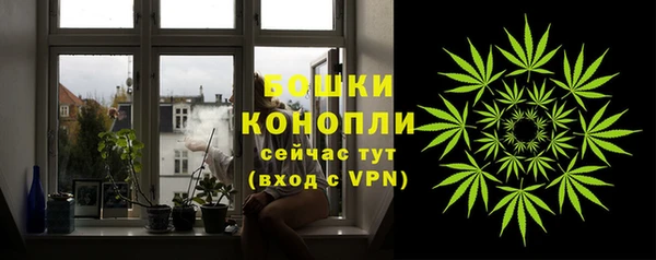 стаф Богородск