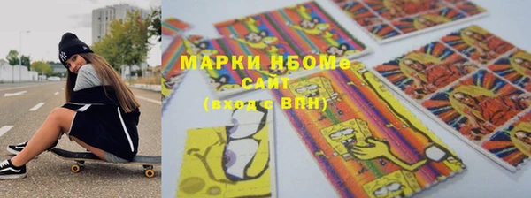 стаф Богородск